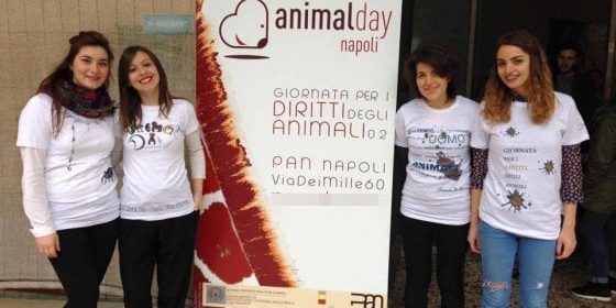 animal-day-napoli