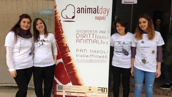 animal-day-napoli