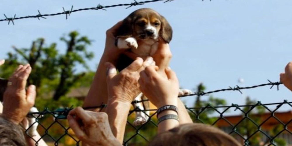 greenhillvita-640×454