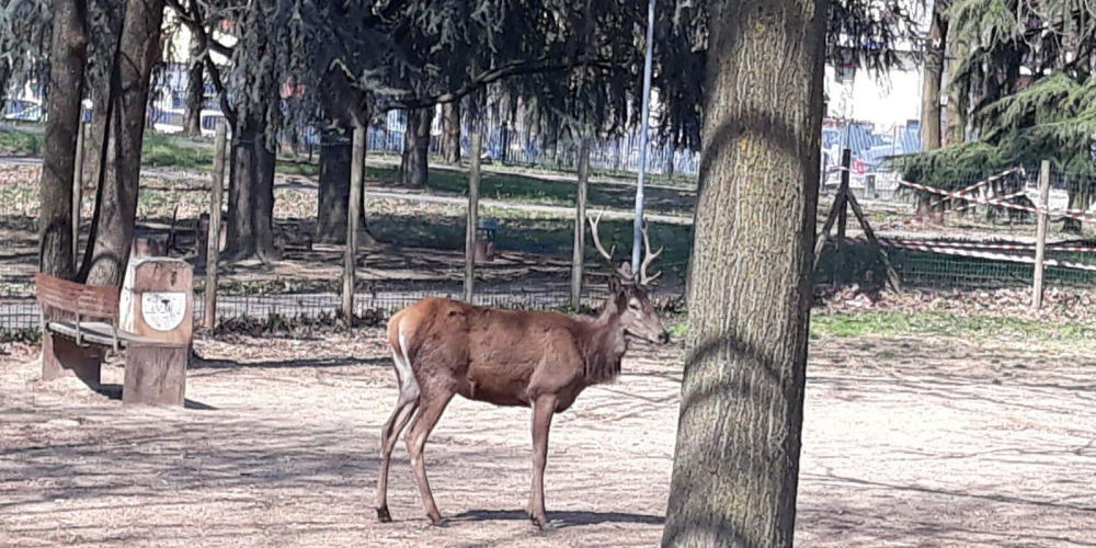 C_2_fotogallery_3097094_1_image