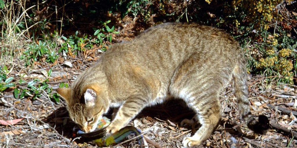 77c89522-6cc9-11e9-a5c1-a0dcc7d66801_AP_672772033140-kufB-U11203146112591R0B-1024×576@LaStampa.it