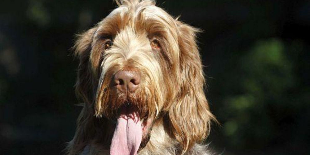 C_2_articolo_3213485_upiImagepp